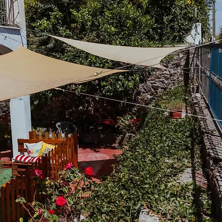 Lemon Tree Гостевой дом