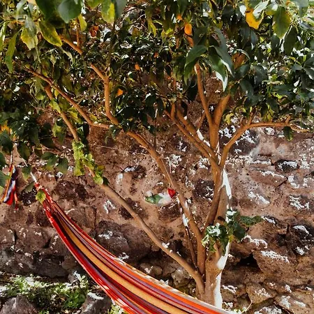 Lemon Tree Gasthof Barano dʼIschia