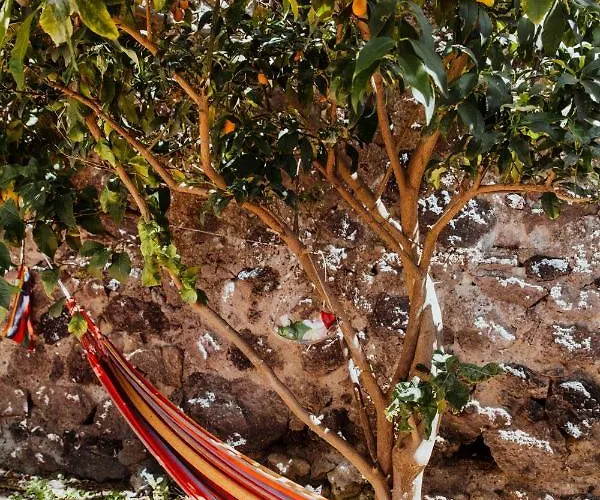 Lemon Tree Pensjonat Barano dʼIschia