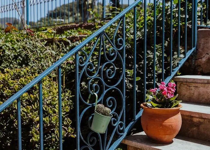 Pensjonat Lemon Tree 3*