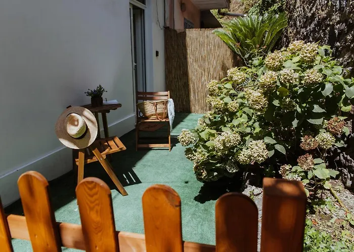 Pensjonat Lemon Tree