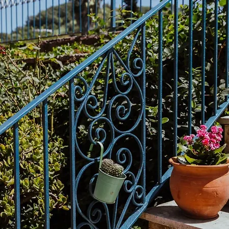 게스트하우스 Lemon Tree 3*