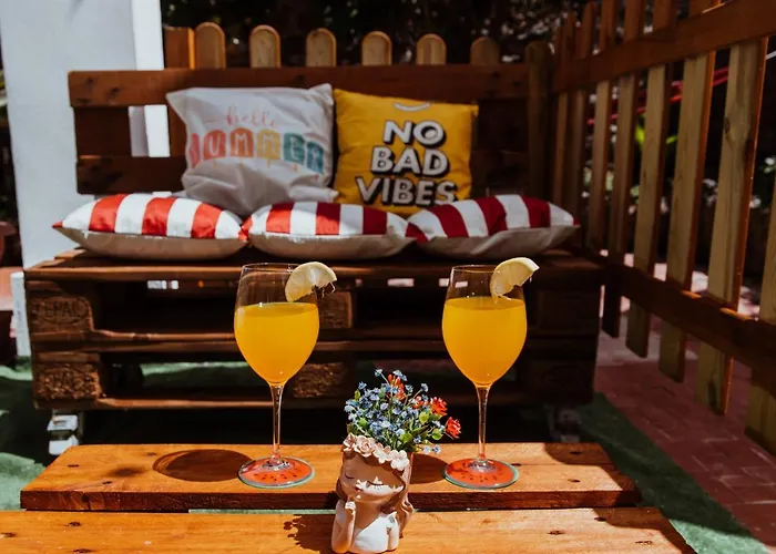 Lemon Tree 바라노디스키아