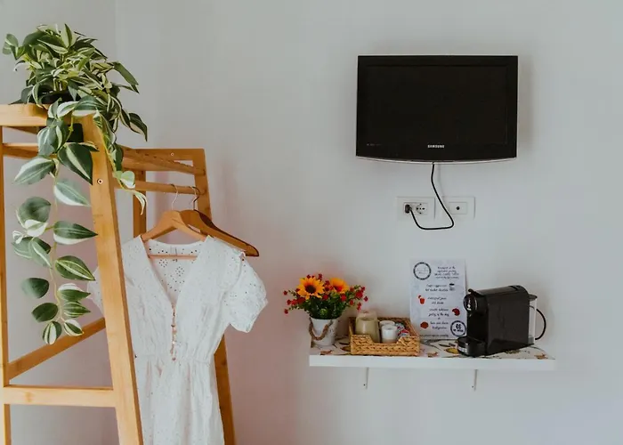 Lemon Tree 게스트하우스 3*