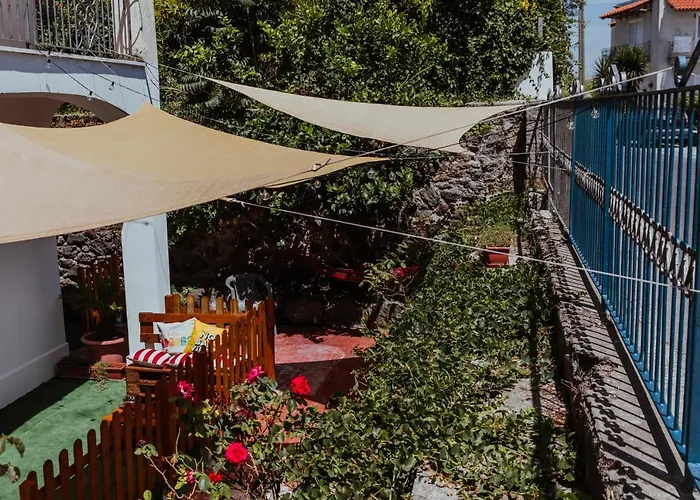 Lemon Tree 게스트하우스