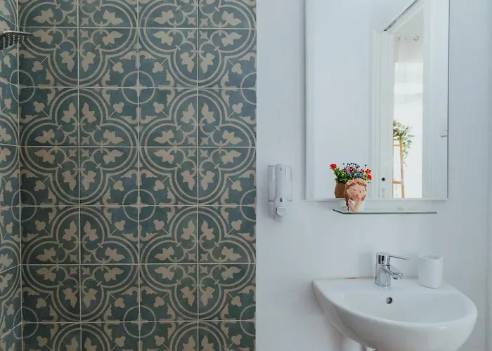 Lemon Tree 바라노디스키아