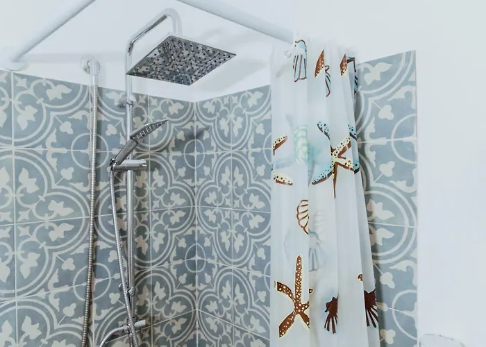 Lemon Tree 바라노디스키아