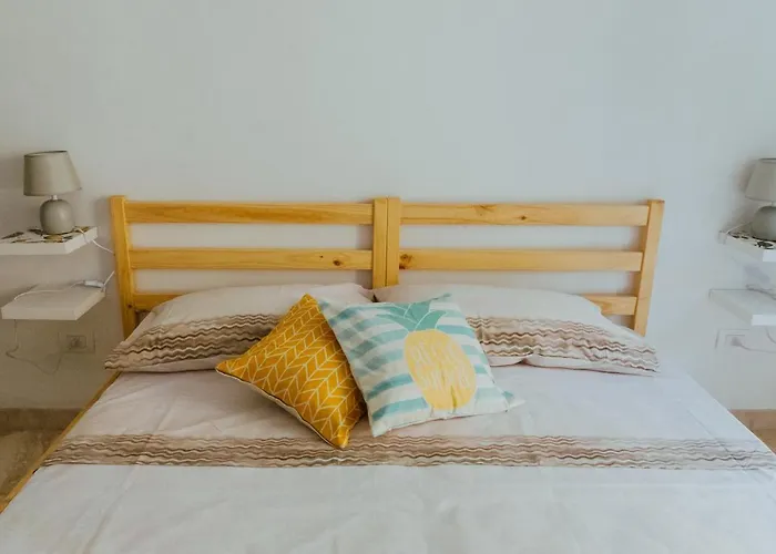 Lemon Tree 바라노디스키아