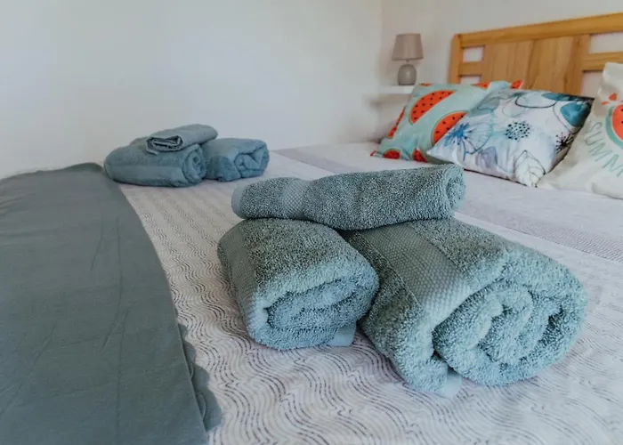 Lemon Tree 게스트하우스