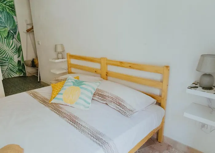 Lemon Tree 3* 바라노디스키아